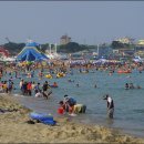 고래불 해수욕장 이미지