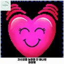 왈왈애견 이미지