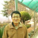 화순동면중 이미지