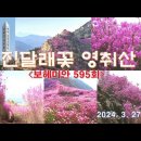 진달래 영취산(5)＜유투브동영상＞ 이미지