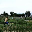 서호농장 이미지