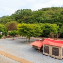 세이브존 계남큰길 변 | [충청북도 괴산군] 화양동계곡 트레킹