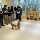 마리앤쥬 이미지