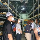 함평센터-8 이미지