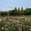 사선대주차장화장실 이미지