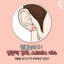 화서 팀타이거복싱 이미지