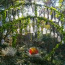 (주)제주 유리의 성 이미지