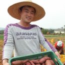 골드오션 이미지