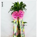 오이디주