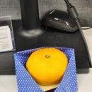 지에스25 회현캐슬점 이미지