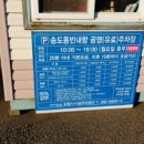 이디야(죽도시장점)