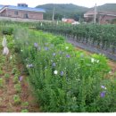 고천1리 마을회관