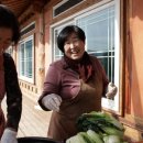 삼척명태찜 이미지