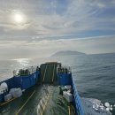 완도7호 이미지