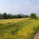 진례면행정복지센터 이미지