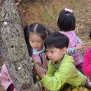 아이미소어린이집 이미지