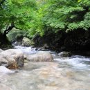 명지민박 이미지