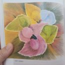 모여라, 미술세상 이미지