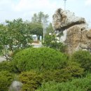 월포주유소 이미지