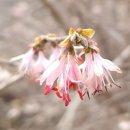 따라 부르지 않는 노래 - 김재진 이미지