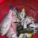 보양건강원 이미지