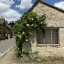 피자투어 이미지