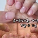 뷰티릿
