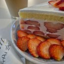 [전포카페] 압트커피 | 딸기케이크가 땡긴다면 apt coffee로! 여기가 전포케이크맛집