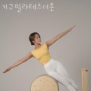 기구필라테스더존 이미지