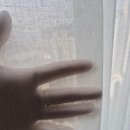 예쁜집커텐 이미지