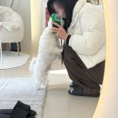제모연구소 | [건대 브라질리언왁싱] 브룸뷰티 저자극 슈가링으로 편하게 관리 후기
