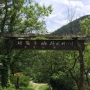 선류산장 이미지