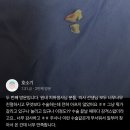 더블엠구강악안면외과치과의원 네이버블로그
