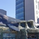 장생포고래박물관 이미지