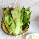 화산곰장어 이미지