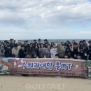 다진메디칼 데일리벳