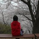 봉황산 공원 이미지