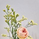 화랑농장 이미지