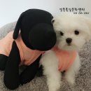 옷만들기 초급 이미지