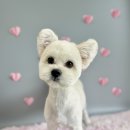 꿈꾸는 댕 이미지