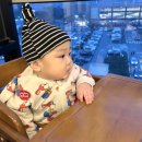 죽림목장 이미지