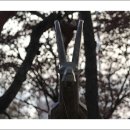 우제류를위하여 이미지