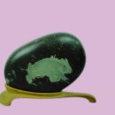 수석농장 이미지