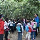 영평초등학교 이미지