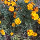 세영프로덕션 이미지