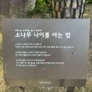 황무로 3 | 2025년11월 초 화담숲 후기와 근처 한정식 맛집 [호운] 후기