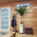 니나식육식당 이미지