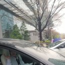 이것이 진정 연예인 퇴근길이쥬~ 이미지