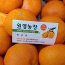 원영농장 이미지