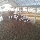 서해목장 이미지